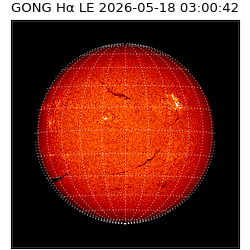 gong - 2026-05-18T03:00:42