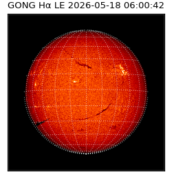 gong - 2026-05-18T06:00:42