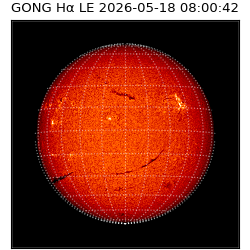 gong - 2026-05-18T08:00:42
