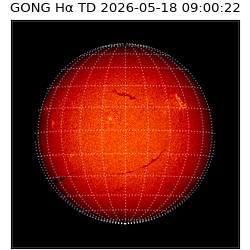 gong - 2026-05-18T09:00:22
