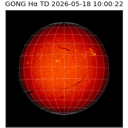 gong - 2026-05-18T10:00:22