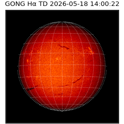 gong - 2026-05-18T14:00:22