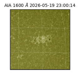saia - 2026-05-19T23:00:14.123000