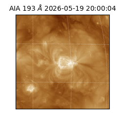 saia - 2026-05-19T20:00:04.842000