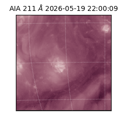 saia - 2026-05-19T22:00:09.623000