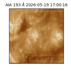 saia - 2026-05-19T17:00:16.842000