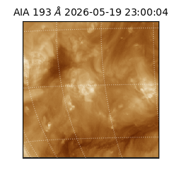 saia - 2026-05-19T23:00:04.842000