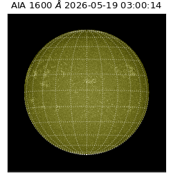 saia - 2026-05-19T03:00:14.124000