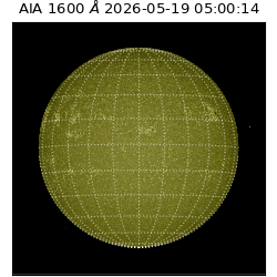 saia - 2026-05-19T05:00:14.130000