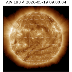 saia - 2026-05-19T09:00:04.842000