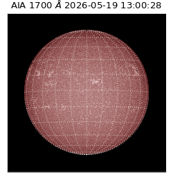 saia - 2026-05-19T13:00:28.719000