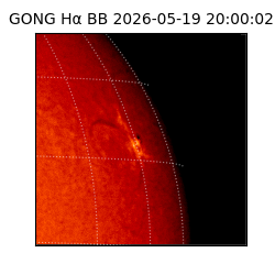 gong - 2026-05-19T20:00:02