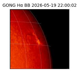 gong - 2026-05-19T22:00:02