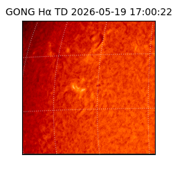 gong - 2026-05-19T17:00:22