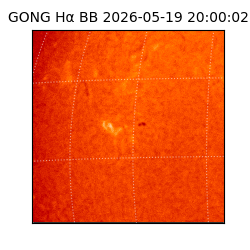gong - 2026-05-19T20:00:02