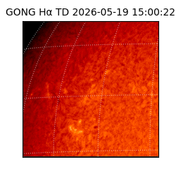 gong - 2026-05-19T15:00:22