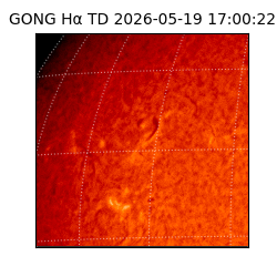 gong - 2026-05-19T17:00:22