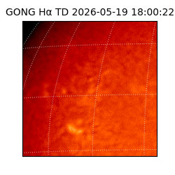 gong - 2026-05-19T18:00:22