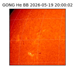 gong - 2026-05-19T20:00:02