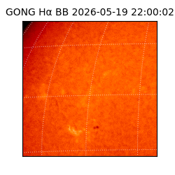 gong - 2026-05-19T22:00:02
