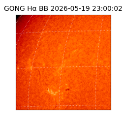 gong - 2026-05-19T23:00:02