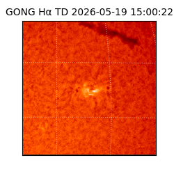 gong - 2026-05-19T15:00:22