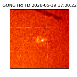 gong - 2026-05-19T17:00:22