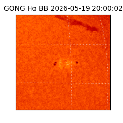 gong - 2026-05-19T20:00:02
