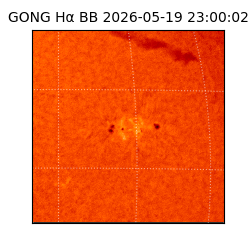 gong - 2026-05-19T23:00:02