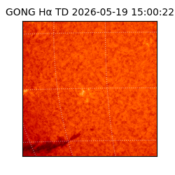 gong - 2026-05-19T15:00:22