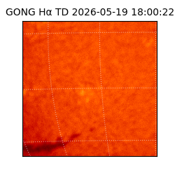 gong - 2026-05-19T18:00:22