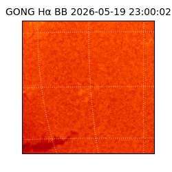 gong - 2026-05-19T23:00:02