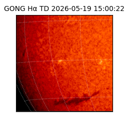 gong - 2026-05-19T15:00:22