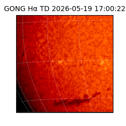 gong - 2026-05-19T17:00:22