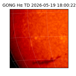gong - 2026-05-19T18:00:22