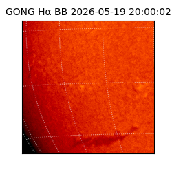 gong - 2026-05-19T20:00:02