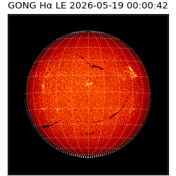 gong - 2026-05-19T00:00:42