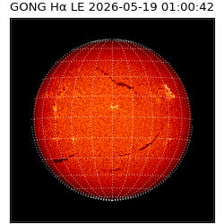 gong - 2026-05-19T01:00:42