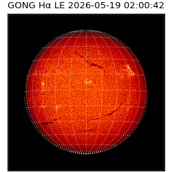 gong - 2026-05-19T02:00:42
