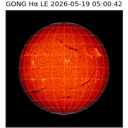 gong - 2026-05-19T05:00:42