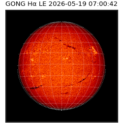 gong - 2026-05-19T07:00:42