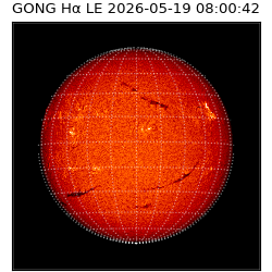 gong - 2026-05-19T08:00:42