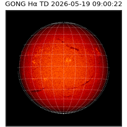 gong - 2026-05-19T09:00:22