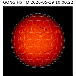 gong - 2026-05-19T10:00:22