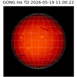 gong - 2026-05-19T11:00:22
