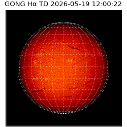 gong - 2026-05-19T12:00:22