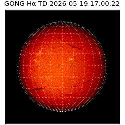 gong - 2026-05-19T17:00:22