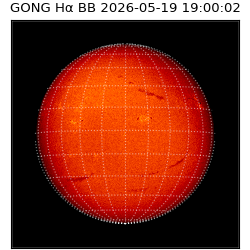 gong - 2026-05-19T19:00:02