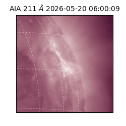 saia - 2026-05-20T06:00:09.623000