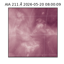 saia - 2026-05-20T08:00:09.630000